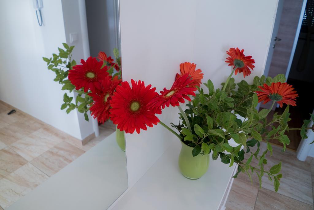Ruzica Apartman *